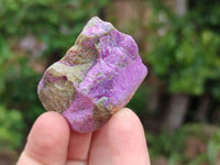 Natural Stichtite Cobbed Specimens x 35 From Barberton, South Africa