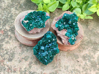 Natural Dioptase On Dolomite Specimens x 6 From Likasi, Congo