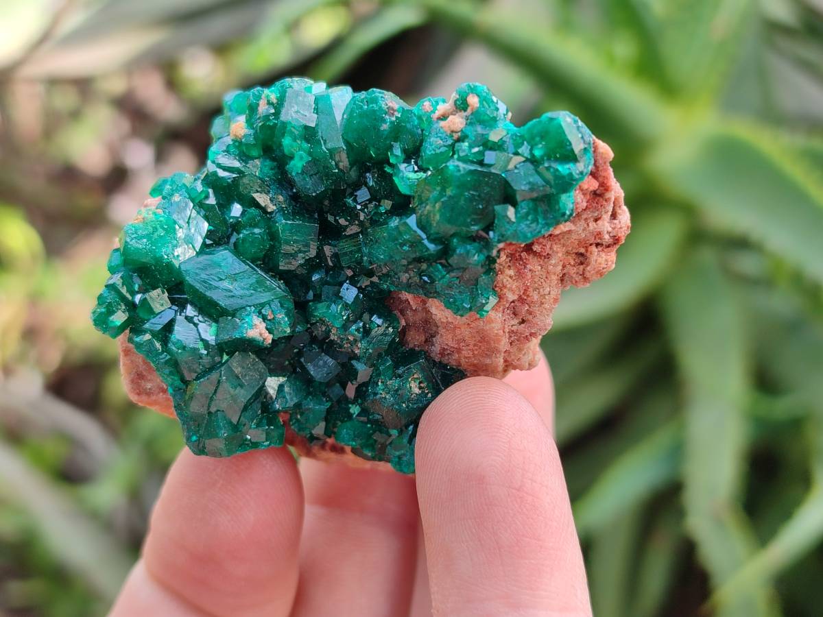 Natural Dioptase On Dolomite Specimens x 6 From Likasi, Congo - Toprock Gemstones and Minerals 
