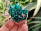 Natural Dioptase On Dolomite Specimens x 6 From Likasi, Congo - Toprock Gemstones and Minerals 