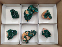 Natural Dioptase On Dolomite Specimens x 6 From Likasi, Congo