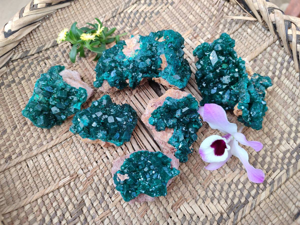 Natural Dioptase On Dolomite Specimens x 6 From Likasi, Congo - Toprock Gemstones and Minerals 