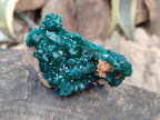 Natural Dioptase On Dolomite Specimens x 6 From Likasi, Congo - Toprock Gemstones and Minerals 