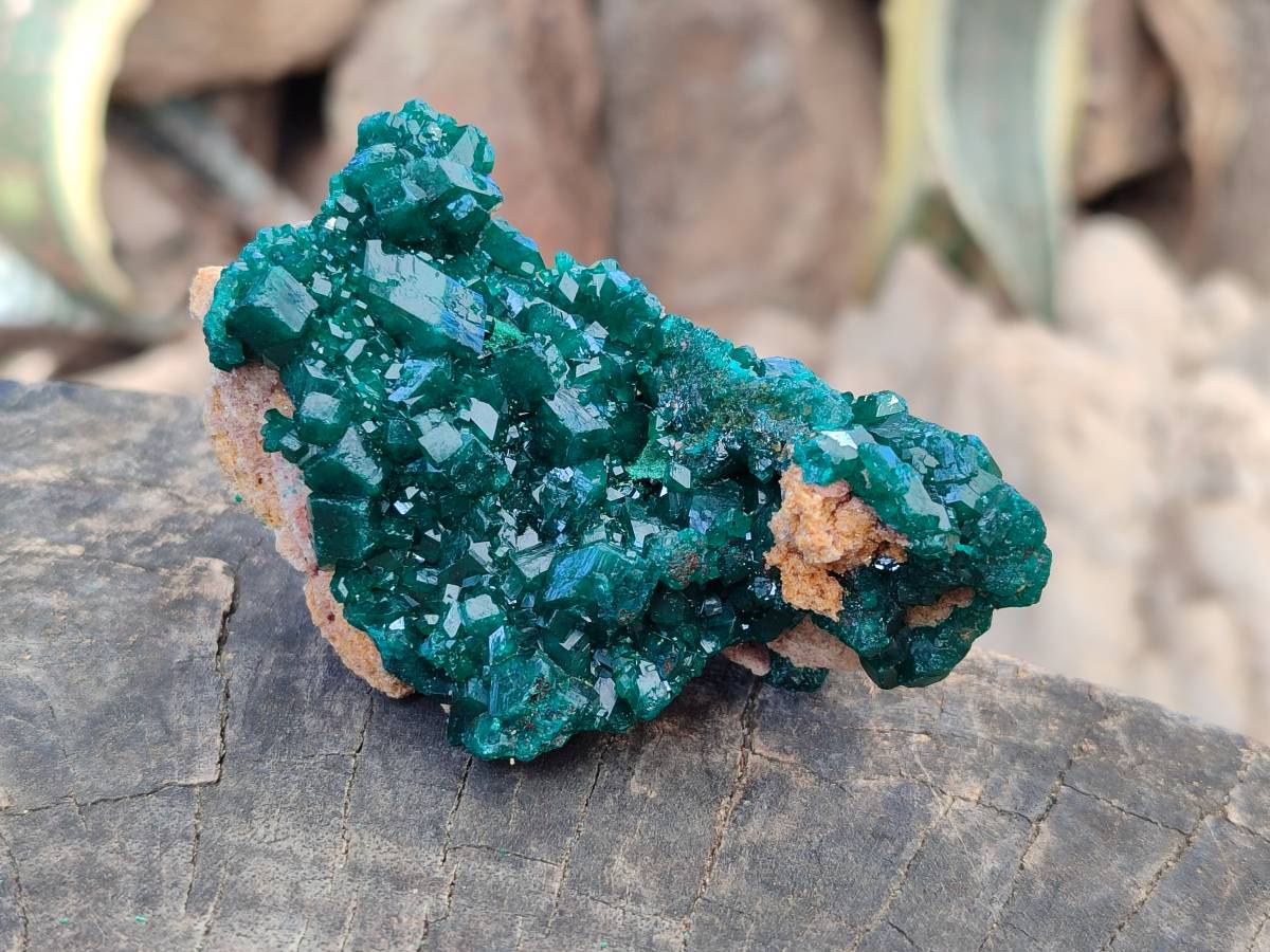 Natural Dioptase On Dolomite Specimens x 6 From Likasi, Congo - Toprock Gemstones and Minerals 
