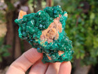 Natural Dioptase On Dolomite Specimens x 6 From Likasi, Congo - Toprock Gemstones and Minerals 