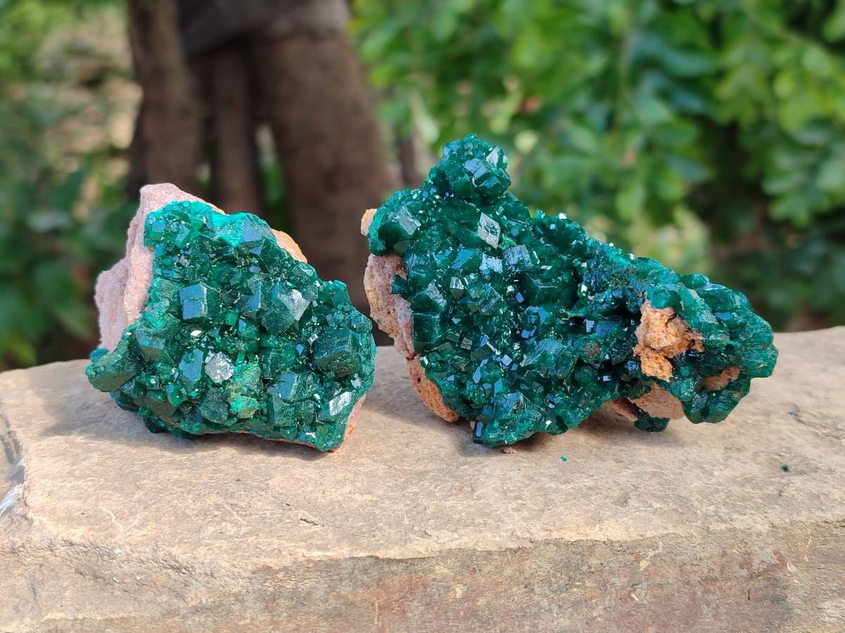Natural Dioptase On Dolomite Specimens x 6 From Likasi, Congo - Toprock Gemstones and Minerals 