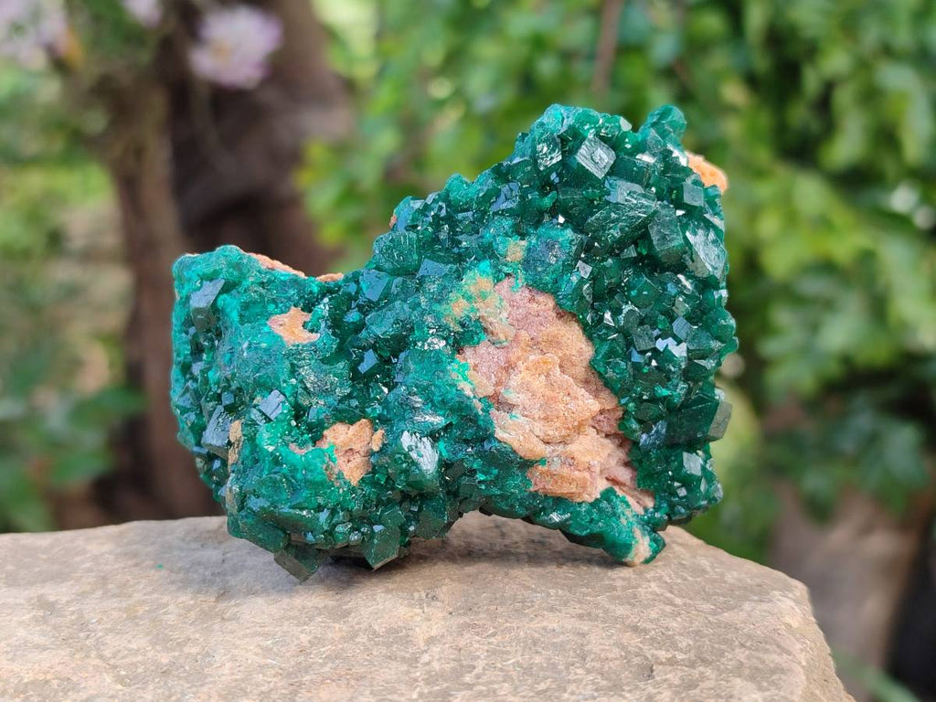 Natural Dioptase On Dolomite Specimens x 6 From Likasi, Congo - Toprock Gemstones and Minerals 