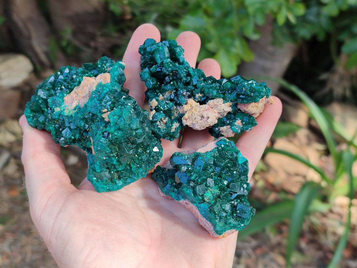Natural Dioptase On Dolomite Specimens x 6 From Likasi, Congo - Toprock Gemstones and Minerals 