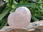 Polished Rose Quartz Hearts x 6 From Madagascar - Toprock Gemstones and Minerals 