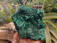 Natural Silky Malachite Specimen x 1 From Kasompe, Congo