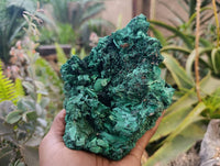 Natural Silky Malachite Specimen x 1 From Kasompe, Congo
