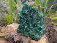 Natural Silky Malachite Specimen x 1 From Kasompe, Congo