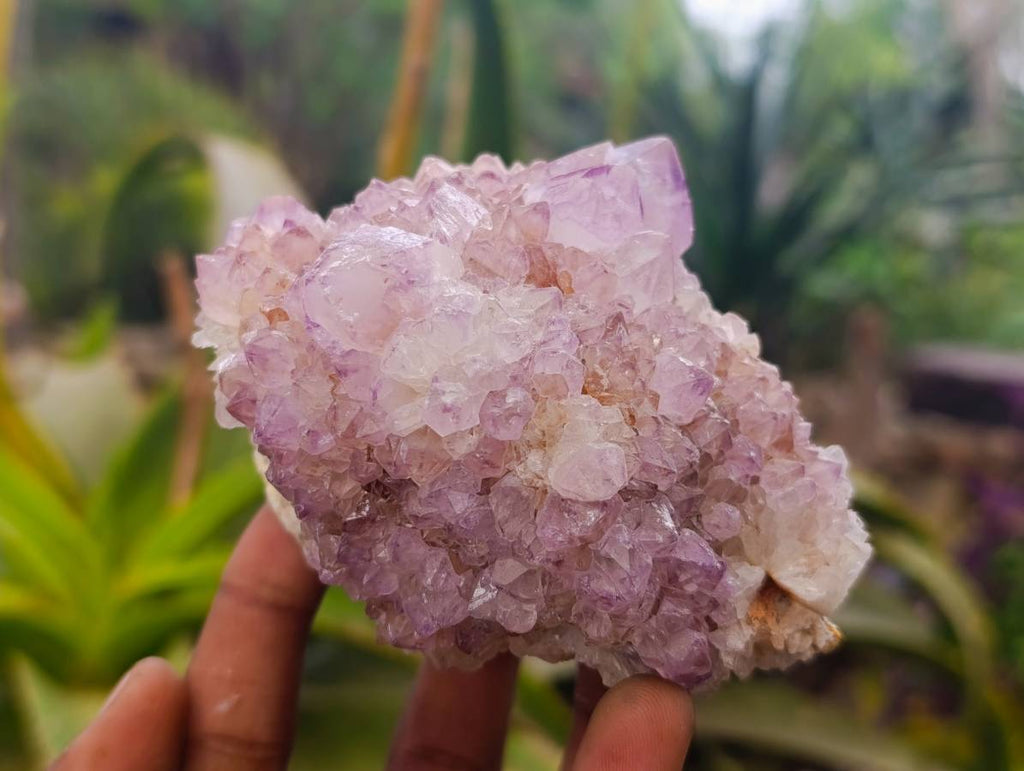 Natural Amethyst Spirit Quartz Clusters x 4 From Boekenhouthoek, South Africa - Toprock Gemstones and Minerals 