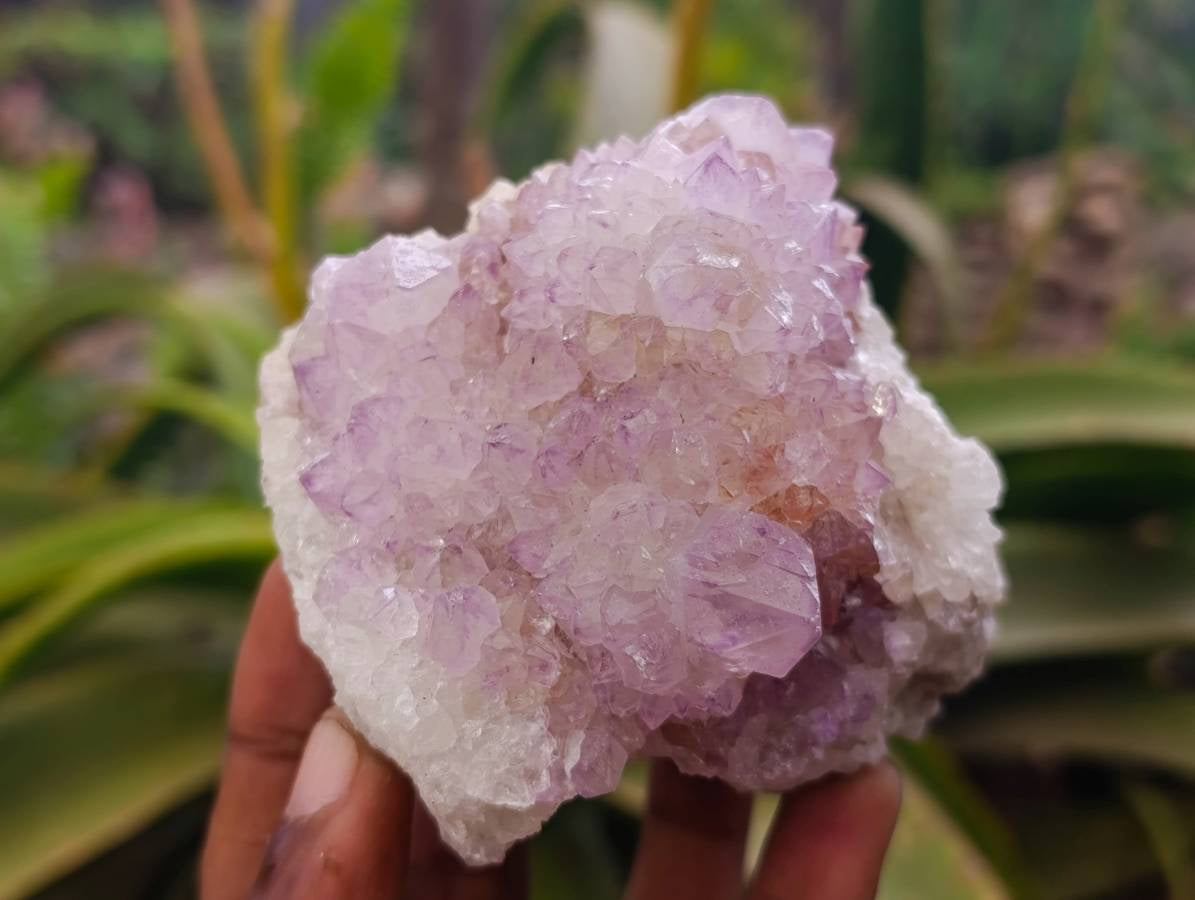 Natural Amethyst Spirit Quartz Clusters x 4 From Boekenhouthoek, South Africa - Toprock Gemstones and Minerals 