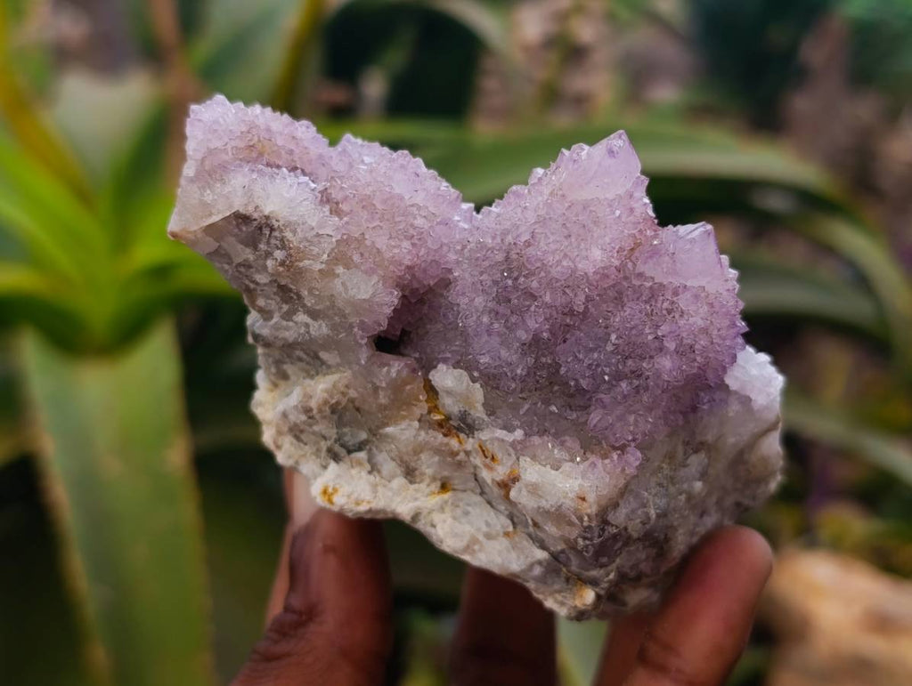 Natural Amethyst Spirit Quartz Clusters x 4 From Boekenhouthoek, South Africa - Toprock Gemstones and Minerals 