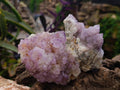 Natural Amethyst Spirit Quartz Clusters x 4 From Boekenhouthoek, South Africa - Toprock Gemstones and Minerals 