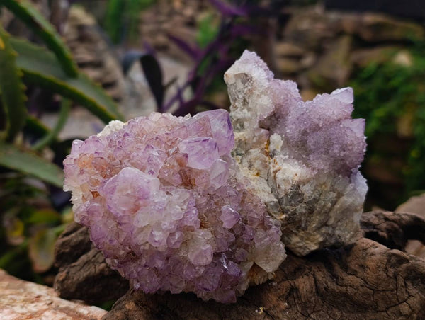 Natural Amethyst Spirit Quartz Clusters x 4 From Boekenhouthoek, South Africa