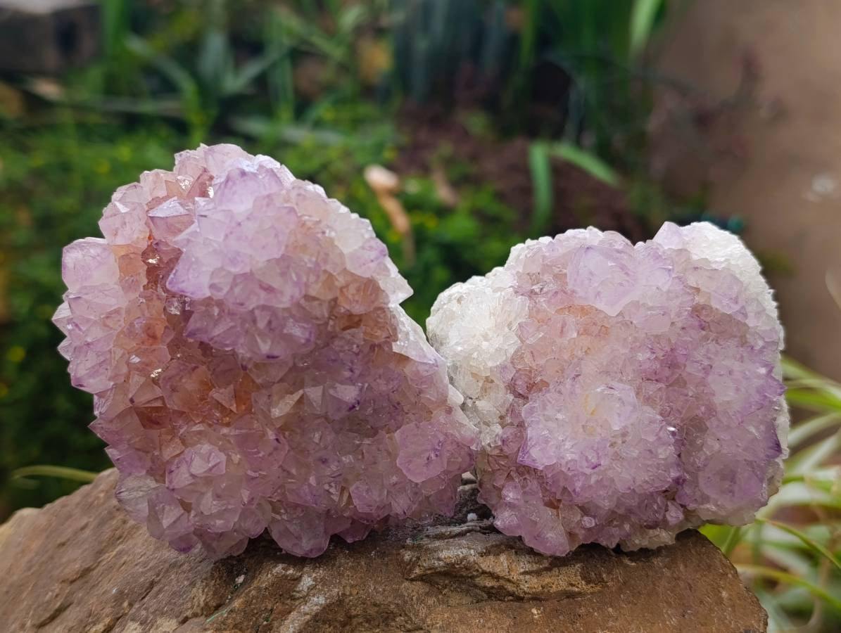 Natural Amethyst Spirit Quartz Clusters x 4 From Boekenhouthoek, South Africa - Toprock Gemstones and Minerals 