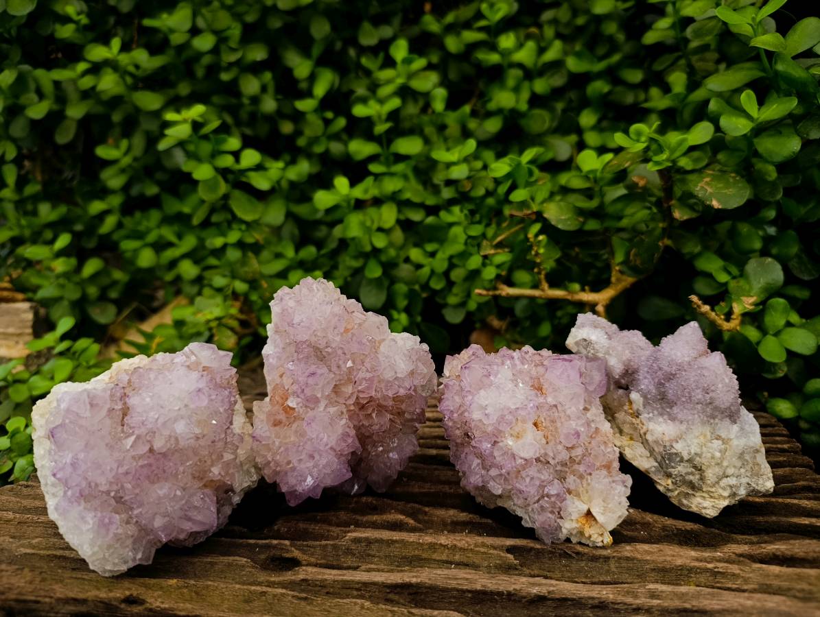 Natural Amethyst Spirit Quartz Clusters x 4 From Boekenhouthoek, South Africa - Toprock Gemstones and Minerals 