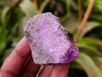 Natural Stichtite Cobbed Specimens x 3Kg Lot - From Barberton, South Africa