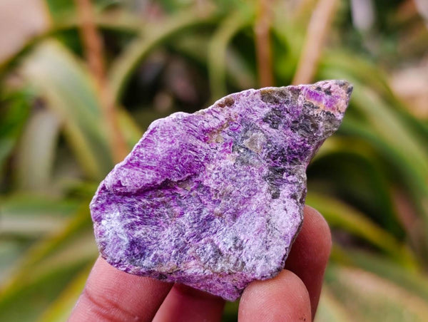 Natural Stichtite Cobbed Specimens x 3Kg Lot - From Barberton, South Africa
