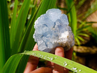 Natural Blue Celestite Specimens x 3 From Sakoany, Madagascar