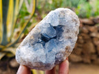 Natural Blue Celestite Specimens x 3 From Sakoany, Madagascar - Toprock Gemstones and Minerals 