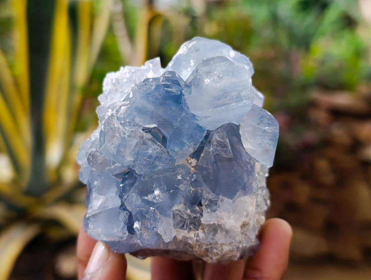 Natural Blue Celestite Specimens x 3 From Sakoany, Madagascar - Toprock Gemstones and Minerals 
