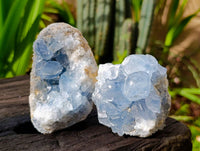 Natural Blue Celestite Specimens x 3 From Sakoany, Madagascar