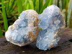 Natural Blue Celestite Specimens x 3 From Sakoany, Madagascar - Toprock Gemstones and Minerals 