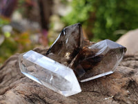Polished Window and Anjozorobe Wispy Phantom Smokey Quartz Crystals x 20 From Madagascar