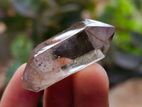 Polished Window and Anjozorobe Wispy Phantom Smokey Quartz Crystals x 20 From Madagascar