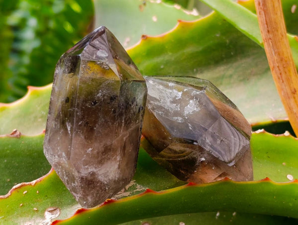 Polished Window and Anjozorobe Wispy Phantom Smokey Quartz Crystals x 20 From Madagascar