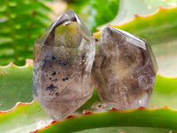 Polished Window and Anjozorobe Wispy Phantom Smokey Quartz Crystals x 20 From Madagascar