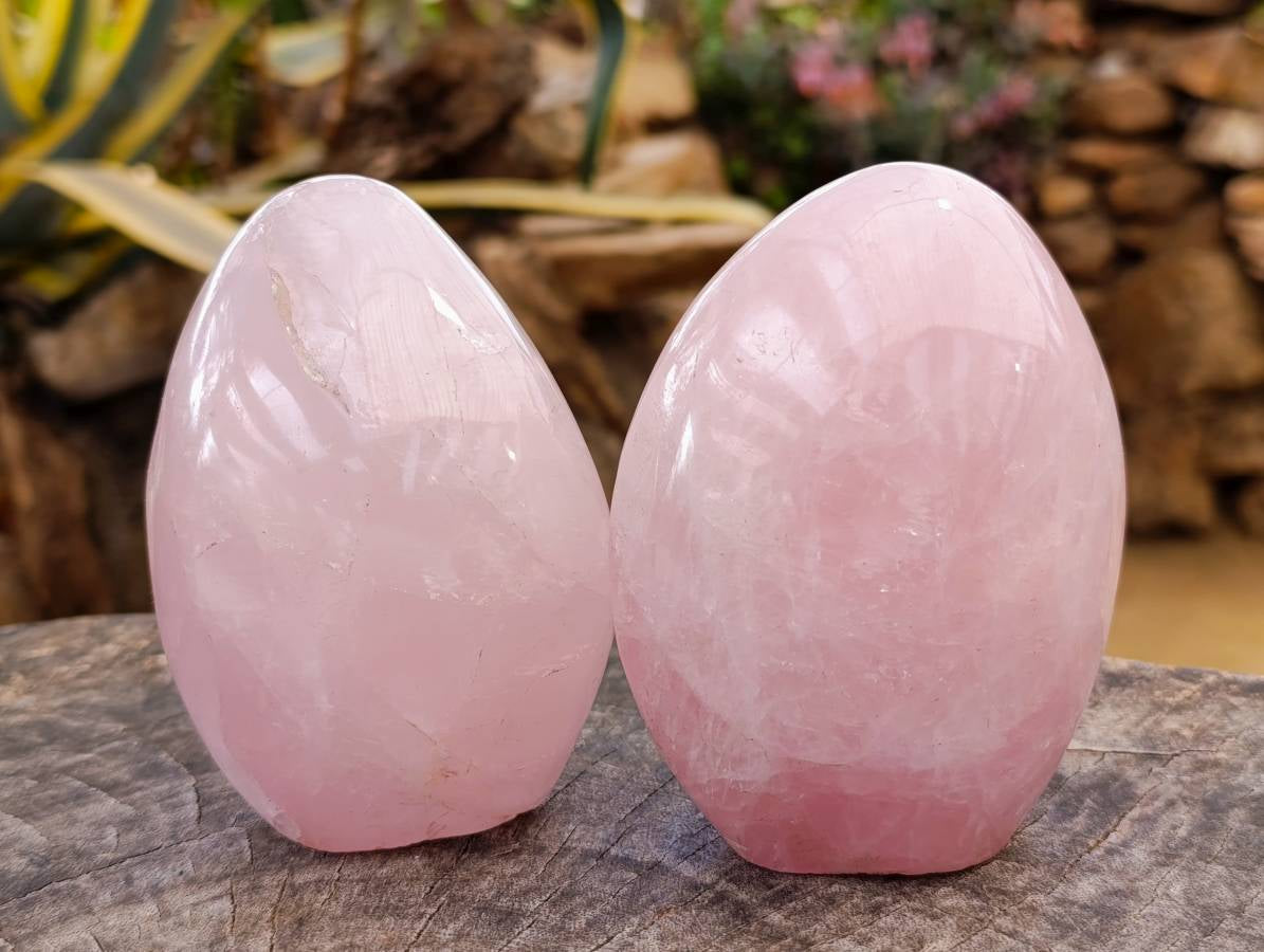 Polished Rose Quartz Standing Free Forms x 2 From Madagascar - Toprock Gemstones and Minerals 