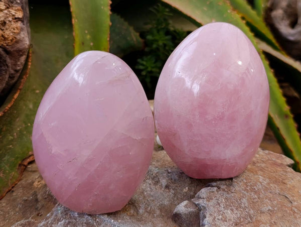 Polished Rose Quartz Standing Free Forms x 2 From Madagascar
