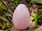 Polished Rose Quartz Standing Free Forms x 2 From Madagascar - Toprock Gemstones and Minerals 