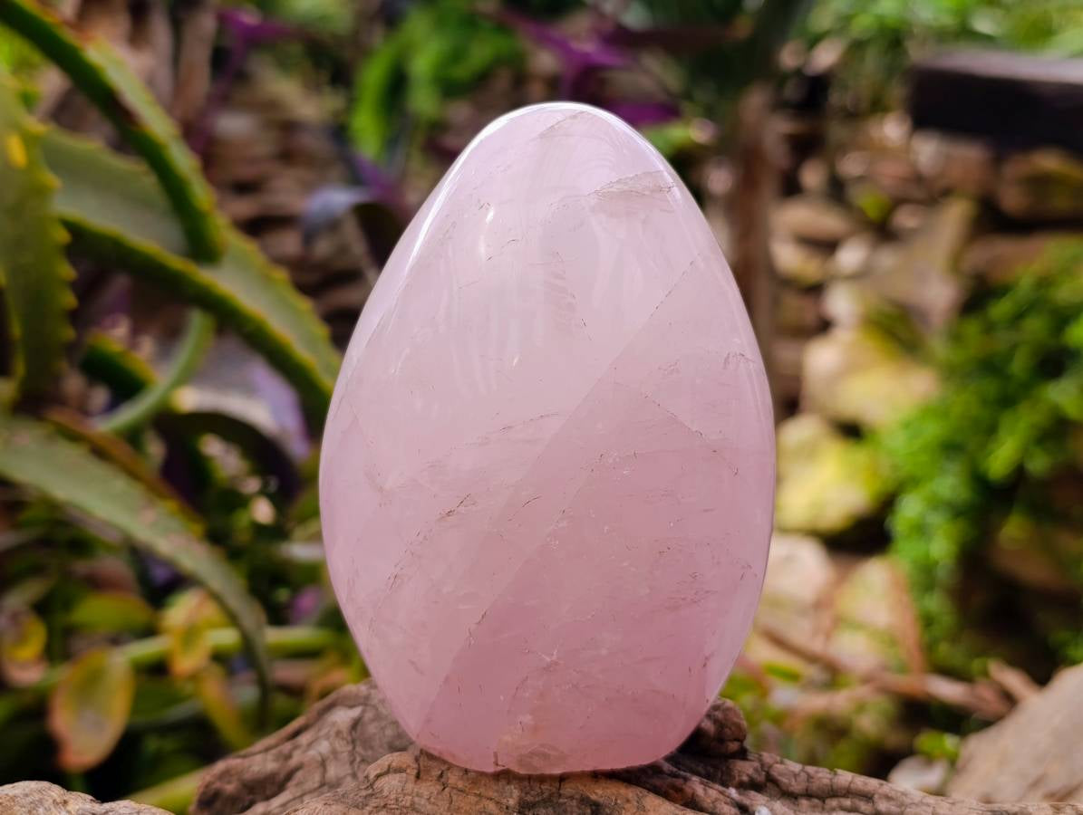 Polished Rose Quartz Standing Free Forms x 2 From Madagascar - Toprock Gemstones and Minerals 