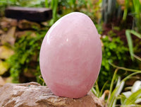 Polished Rose Quartz Standing Free Forms x 2 From Madagascar