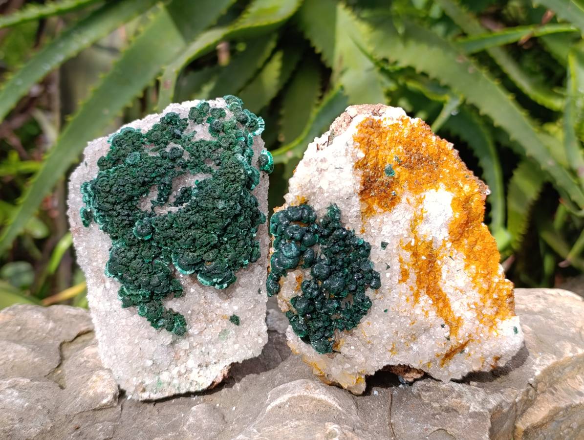Natural Crystalline Ball Malachite and Drusy Quartz On Dolomite Matrix Specimens x 3 From Kambove, Congo - Toprock Gemstones and Minerals 