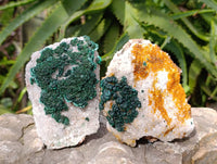 Natural Crystalline Ball Malachite and Drusy Quartz On Dolomite Matrix Specimens x 3 From Kambove, Congo
