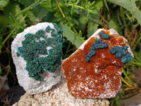 Natural Crystalline Ball Malachite and Drusy Quartz On Dolomite Matrix Specimens x 3 From Kambove, Congo