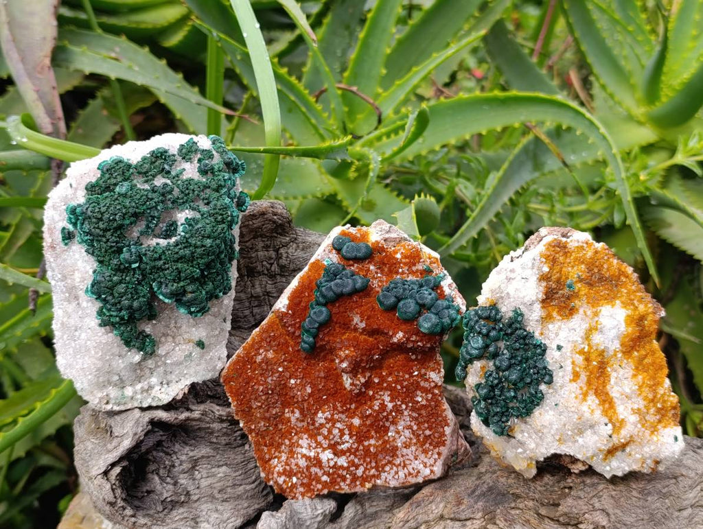 Natural Crystalline Ball Malachite and Drusy Quartz On Dolomite Matrix Specimens x 3 From Kambove, Congo - Toprock Gemstones and Minerals 