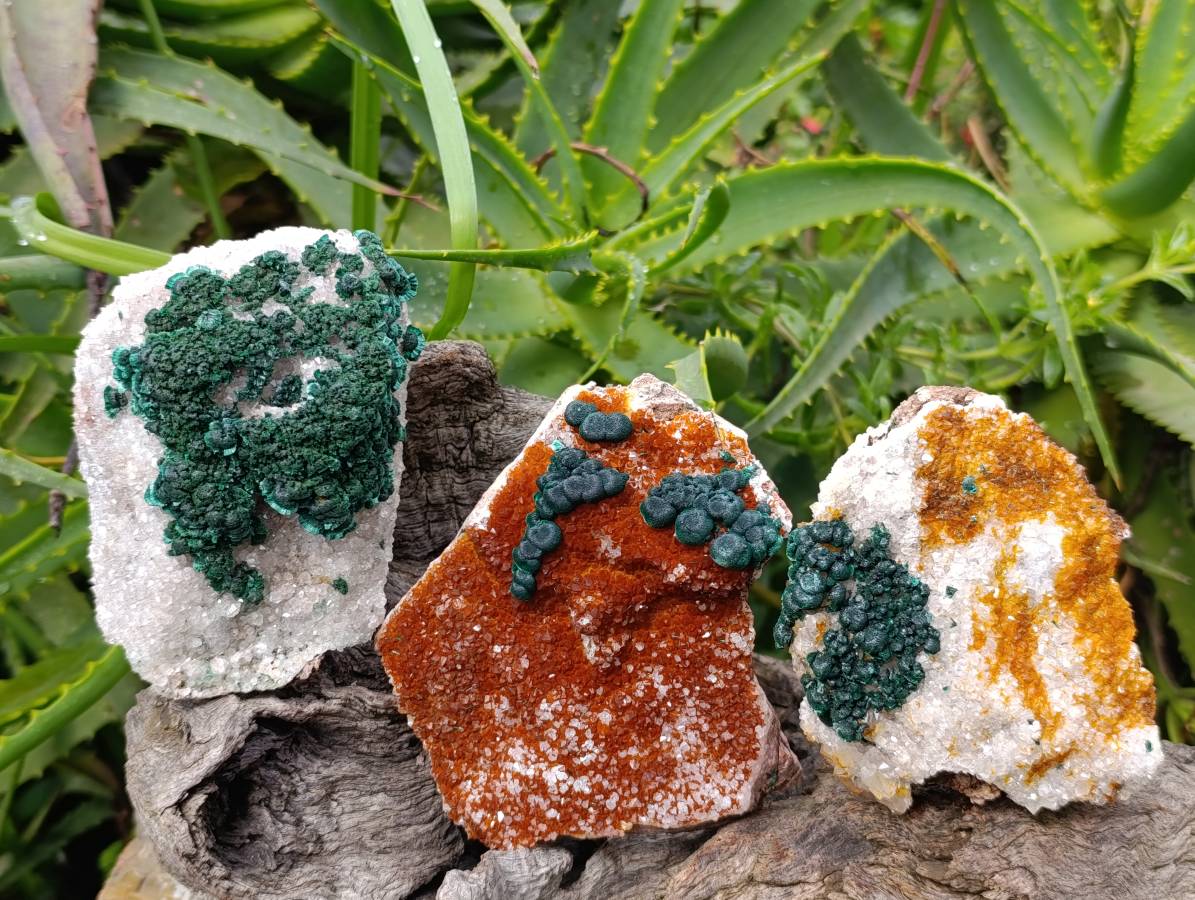 Natural Crystalline Ball Malachite and Drusy Quartz On Dolomite Matrix Specimens x 3 From Kambove, Congo - Toprock Gemstones and Minerals 