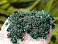 Natural Crystalline Ball Malachite and Drusy Quartz On Dolomite Matrix Specimens x 3 From Kambove, Congo