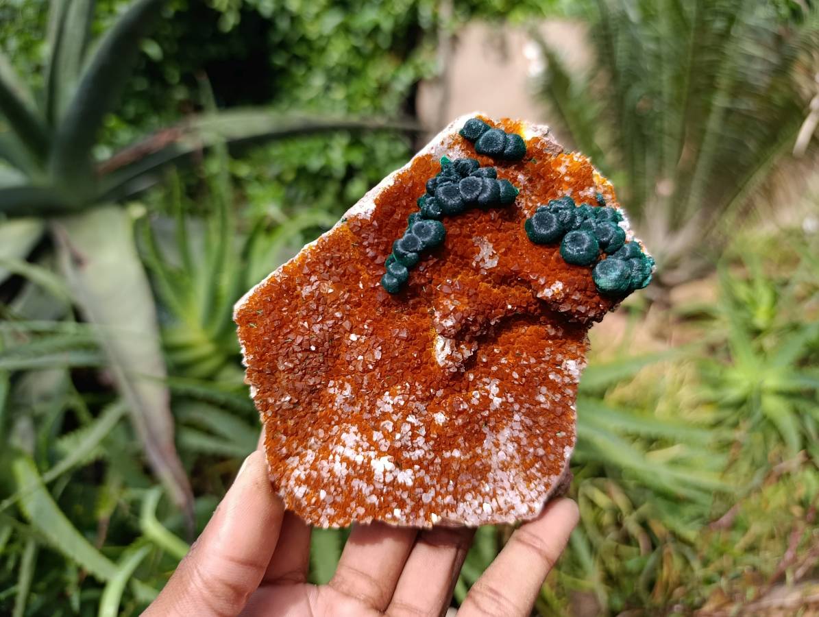 Natural Crystalline Ball Malachite and Drusy Quartz On Dolomite Matrix Specimens x 3 From Kambove, Congo - Toprock Gemstones and Minerals 