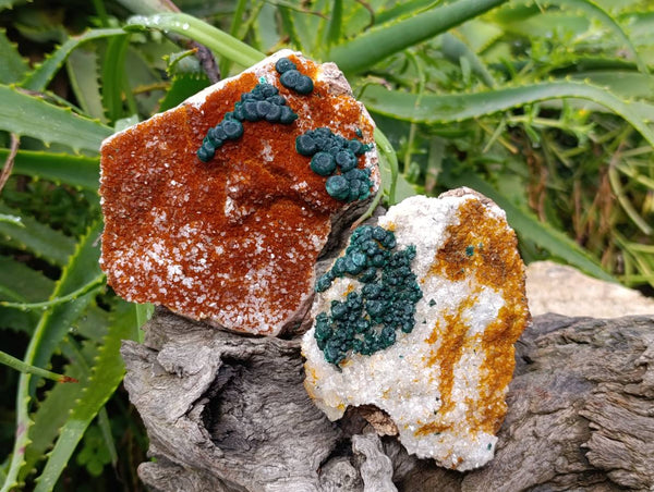 Natural Crystalline Ball Malachite and Drusy Quartz On Dolomite Matrix Specimens x 3 From Kambove, Congo