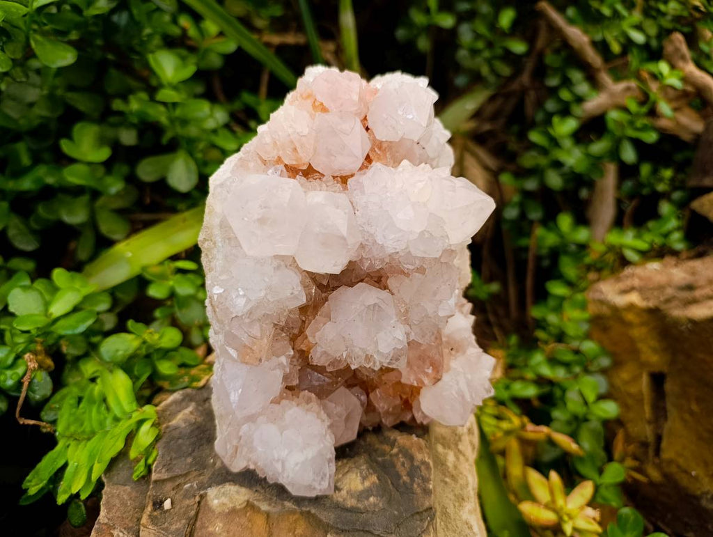 Natural White Spirit Quartz Cluster x 1 From Boekenhouthoek, South Africa - Toprock Gemstones and Minerals 
