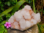 Natural White Spirit Quartz Cluster x 1 From Boekenhouthoek, South Africa - Toprock Gemstones and Minerals 