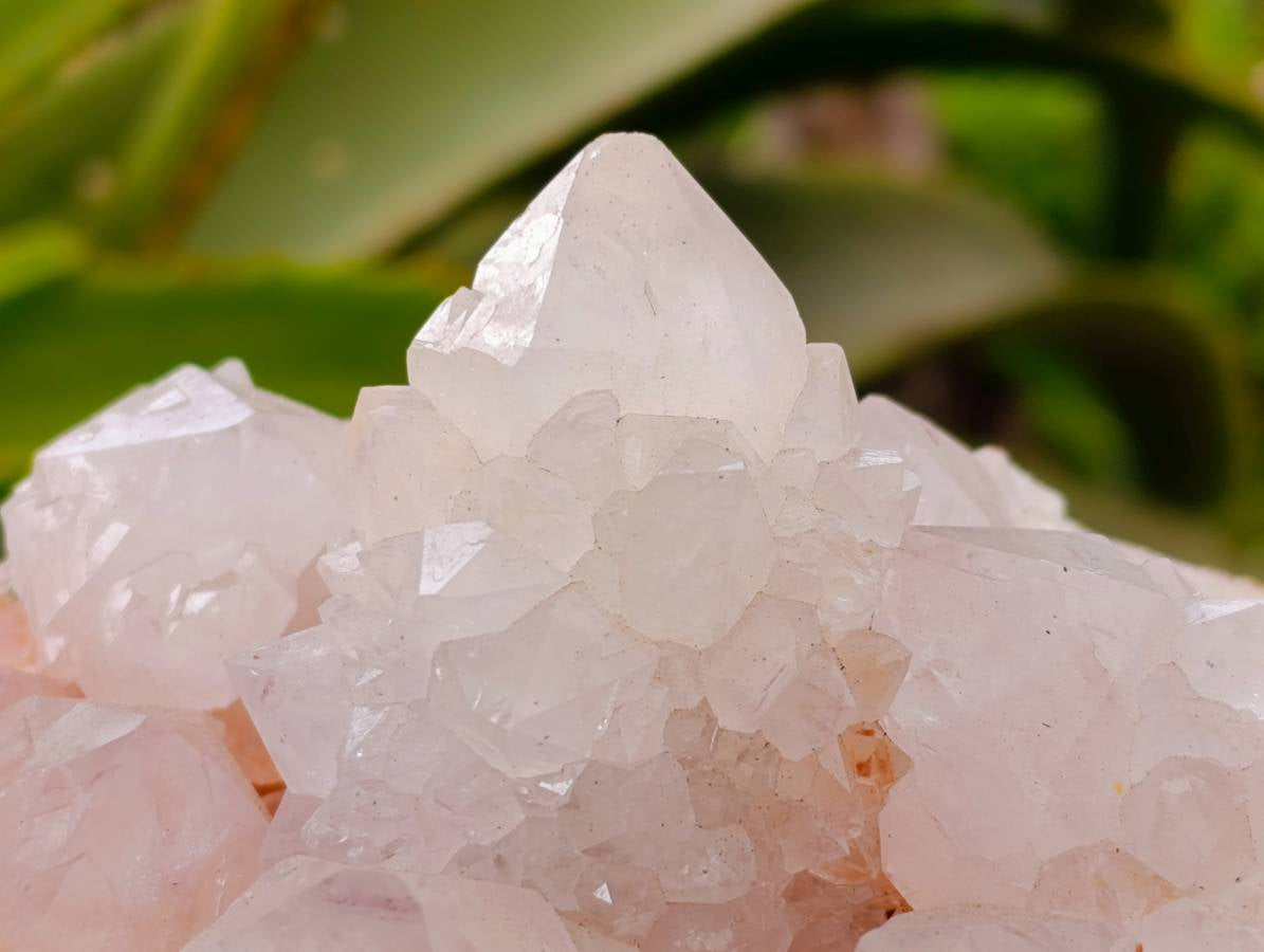 Natural White Spirit Quartz Cluster x 1 From Boekenhouthoek, South Africa - Toprock Gemstones and Minerals 